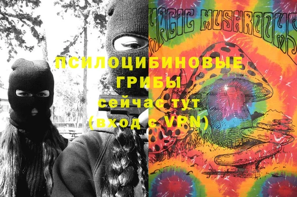СК Нефтекумск
