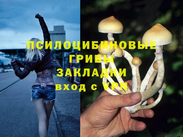 apvp Нея