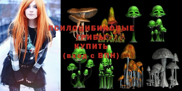 apvp Нея